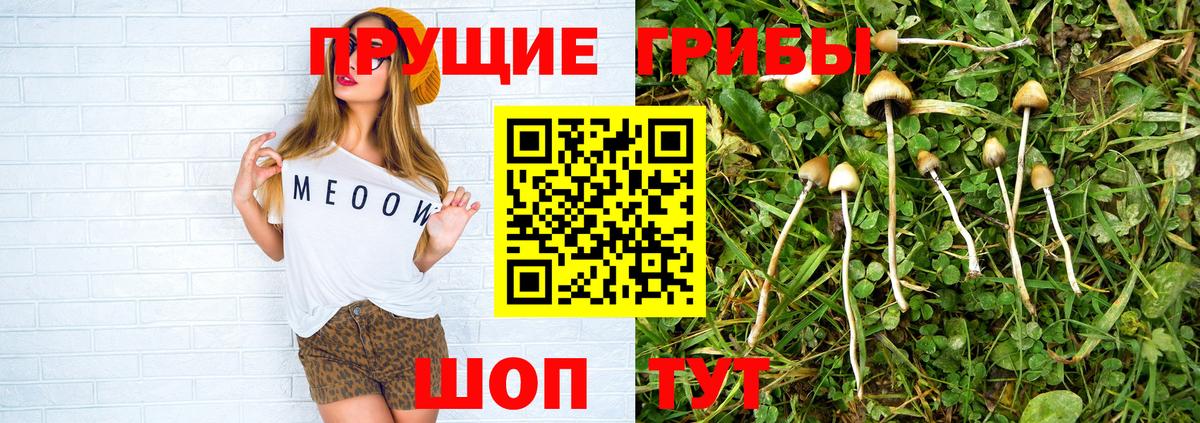Наро-Фоминск  где найти наркотики  Вход с VPN  Галлюциногенные грибы прущие грибы 